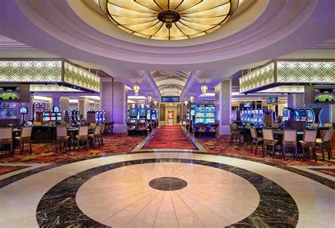 CASINO & GAMING HARD ROCK TAMPA THE PALMS LAS .